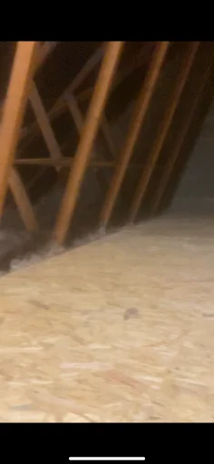 Essex Loft Insulation photo 7