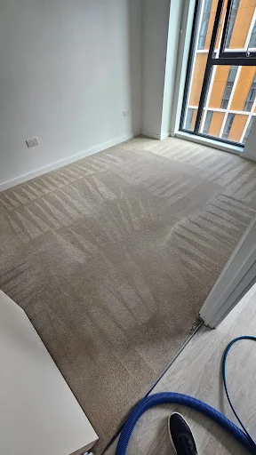 GD Carpet &amp; Upholstery cleaning services photo 1