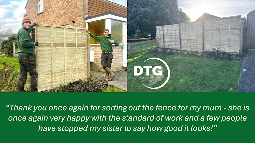 DTG Trees &amp; Grounds Limited photo 1