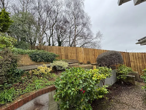 DTG Trees &amp; Grounds Limited photo 2