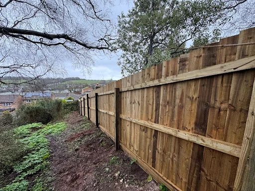 DTG Trees &amp; Grounds Limited photo 3