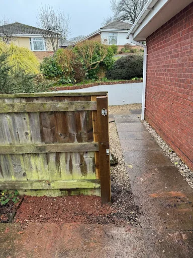 DTG Trees &amp; Grounds Limited photo 5