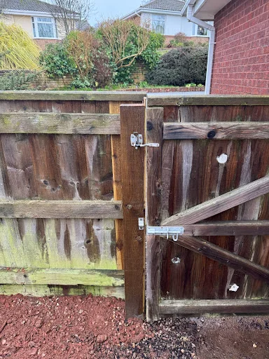 DTG Trees &amp; Grounds Limited photo 6