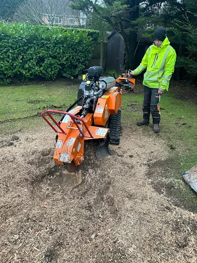 JSV Services photo 8