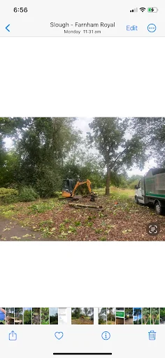 High Branch Tree Care photo 2