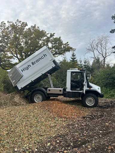 High Branch Tree Care photo 3