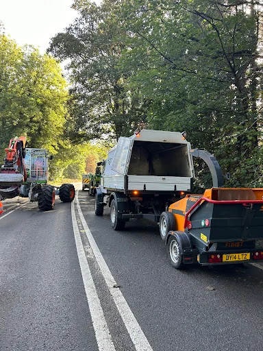 High Branch Tree Care photo 4