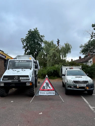 High Branch Tree Care photo 5