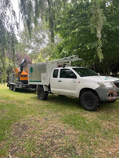 High Branch Tree Care photo 6