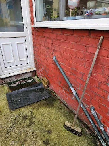 Salix Gardening photo 4