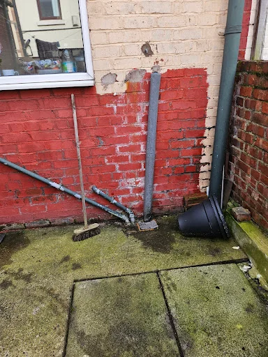 Salix Gardening photo 6