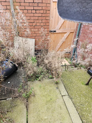 Salix Gardening photo 7