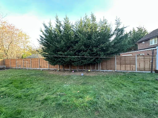 Hertfordshire Fencing photo 2