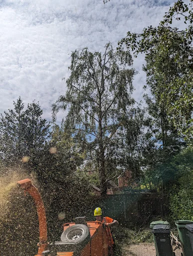 Elm Park Tree Services photo 5