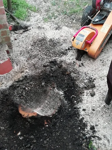 Witham Tree Services photo 8