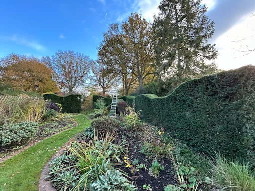 MC Garden &amp; Pond Design photo 1