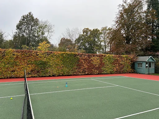 MC Garden &amp; Pond Design photo 2