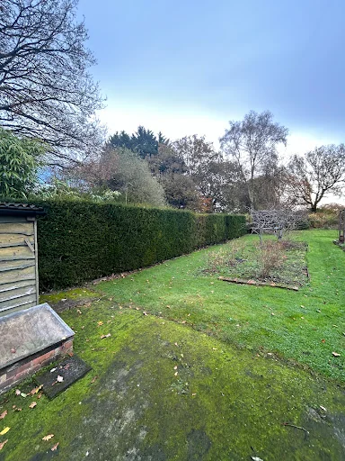 MC Garden &amp; Pond Design photo 3