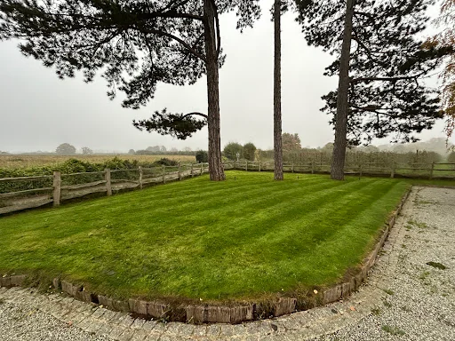 MC Garden &amp; Pond Design photo 4