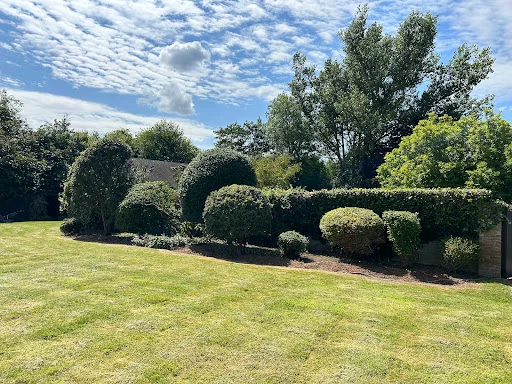 MC Garden &amp; Pond Design photo 6