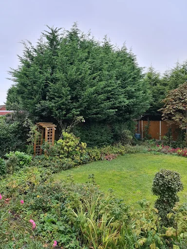 Frontline Tree &amp; Garden Services photo 1