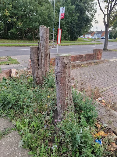 Frontline Tree &amp; Garden Services photo 3