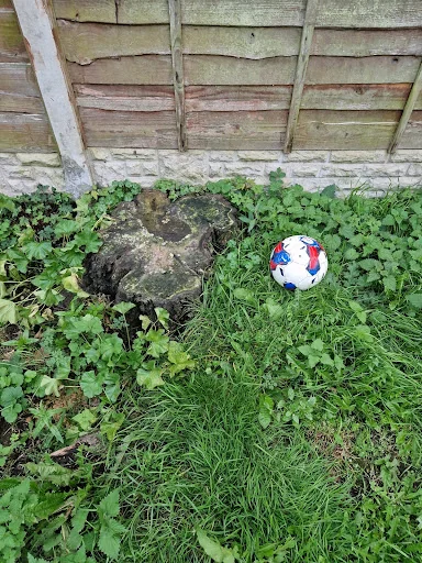 Frontline Tree &amp; Garden Services photo 5