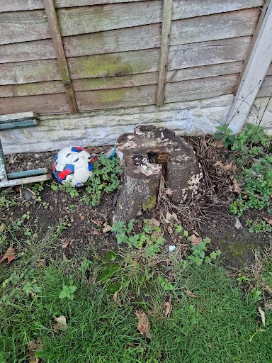 Frontline Tree &amp; Garden Services photo 7