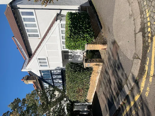 Oakland Local Tree &amp; Garden Care photo 2