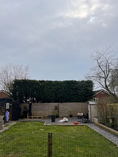 Oakland Local Tree &amp; Garden Care photo 7