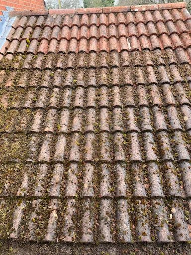 Oakland Local Tree &amp; Garden Care photo 8