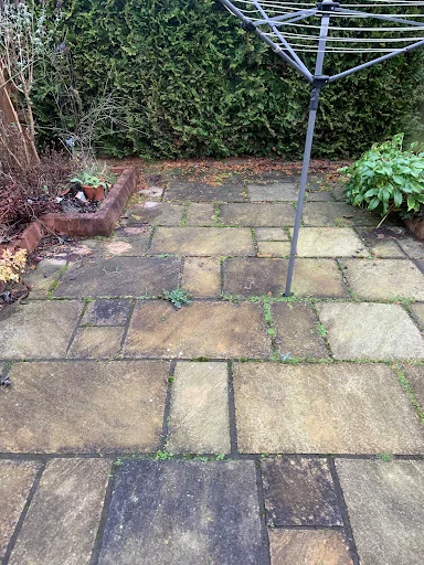 S&amp;J's Roof Cleaning photo 6