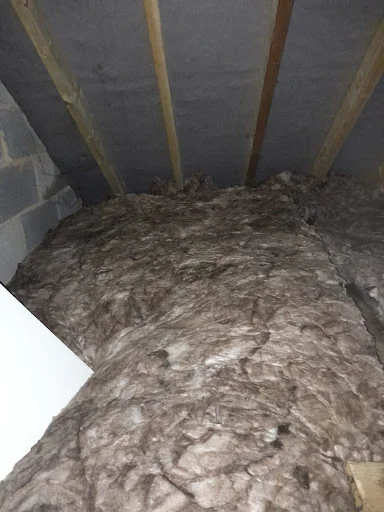 Eradikil UK Ltd photo 1