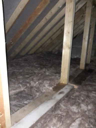 Eradikil UK Ltd photo 2