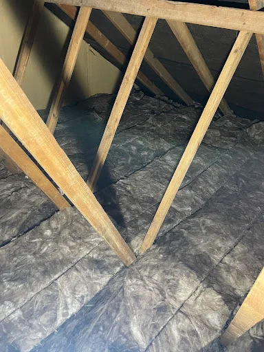 Eradikil UK Ltd photo 3