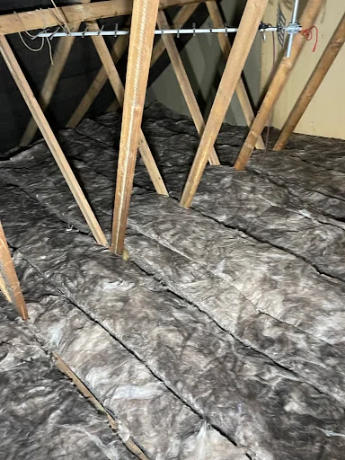 Eradikil UK Ltd photo 5