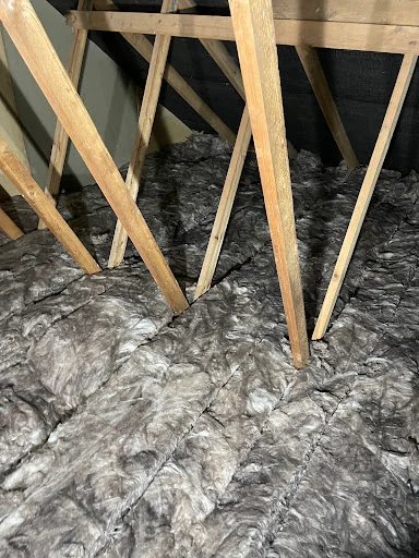 Eradikil UK Ltd photo 6