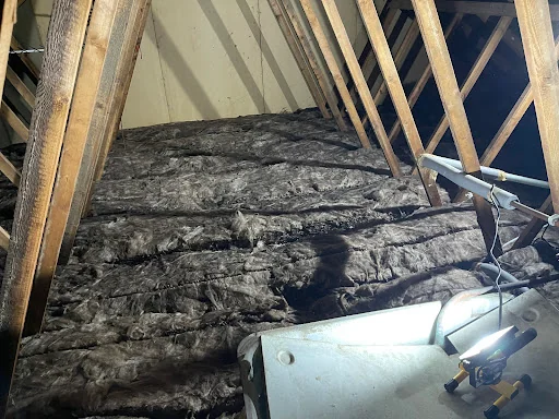 Eradikil UK Ltd photo 7