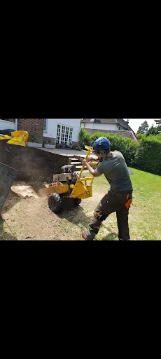 Hobson Tree Services photo 3