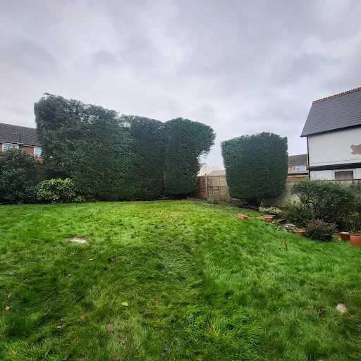 Forester Tree Care Ltd photo 2