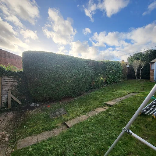 Forester Tree Care Ltd photo 4