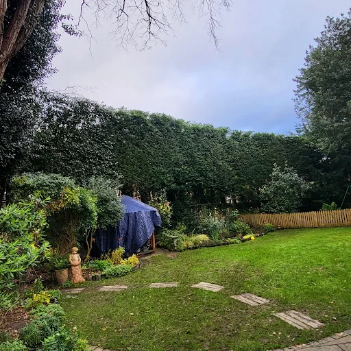 Forester Tree Care Ltd photo 7