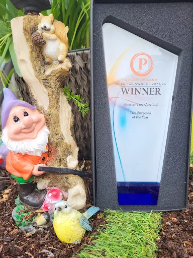 Forester Tree Care Ltd photo 8