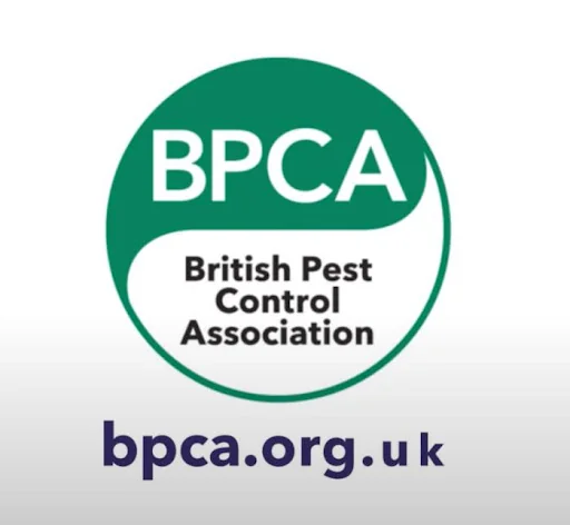 CLEAR-A-PEST PEST CONTROL LTD photo 1