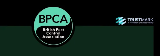 CLEAR-A-PEST PEST CONTROL LTD photo 2