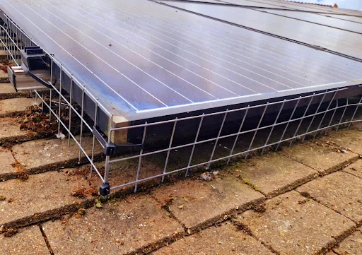 CLEAR-A-PEST PEST CONTROL LTD photo 6