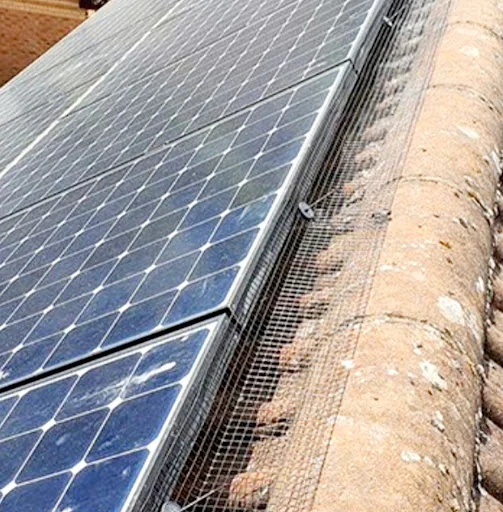 CLEAR-A-PEST PEST CONTROL LTD photo 8