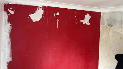 Alidea Painting &amp; Decor photo 8