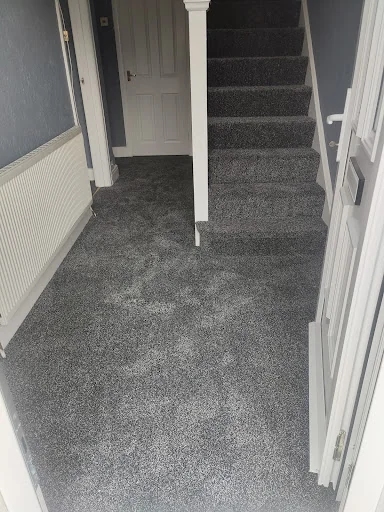 D &amp; M Carpets and Flooring photo 4