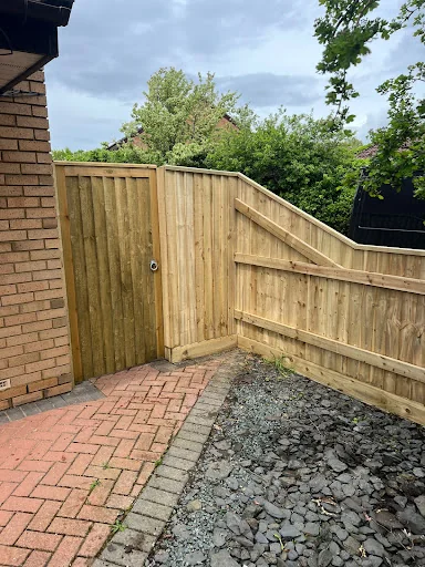LBW Tree &amp; Hedge Specialist photo 4